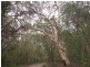 251 Eumarella Road, Weyba Downs QLD 4562
