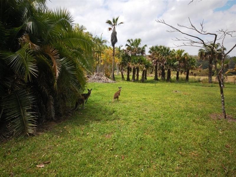 170 Wust Road, Doonan QLD 4562