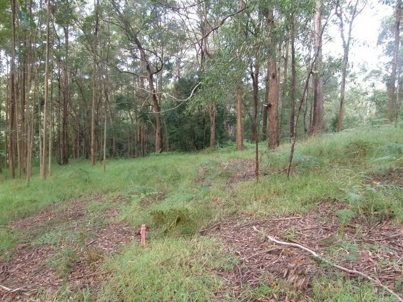 46 Stewart Court, Doonan QLD 4562