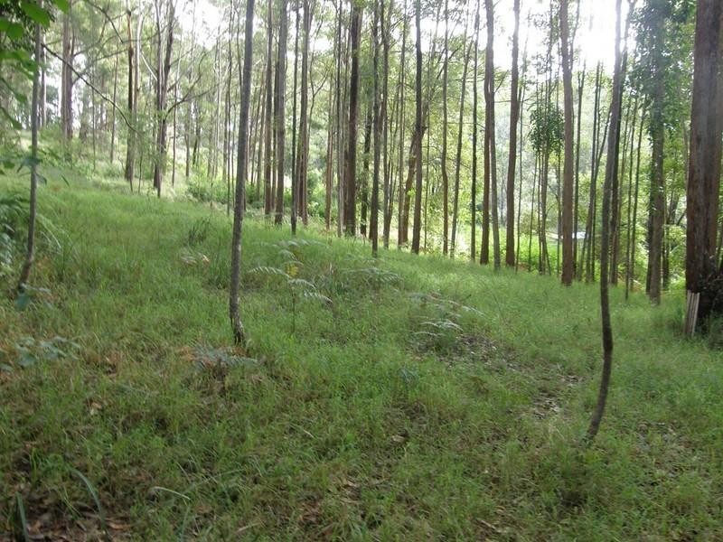 46 Stewart Court, Doonan QLD 4562