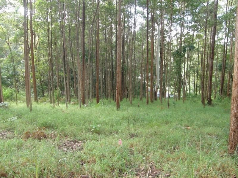 46 Stewart Court, Doonan QLD 4562