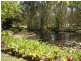 29 Lake Weyba Drive, Weyba Downs QLD 4562