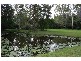 55 Templeton Wy, Doonan QLD 4562