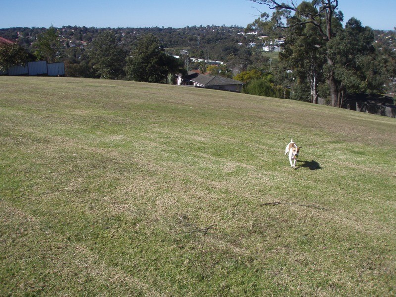 Seven Hills NSW 2147