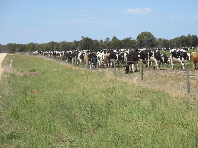 230HA Manga Road, Kalangadoo SA 5278