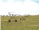 1 Moorimbina Dairy, Naracoorte SA 5271