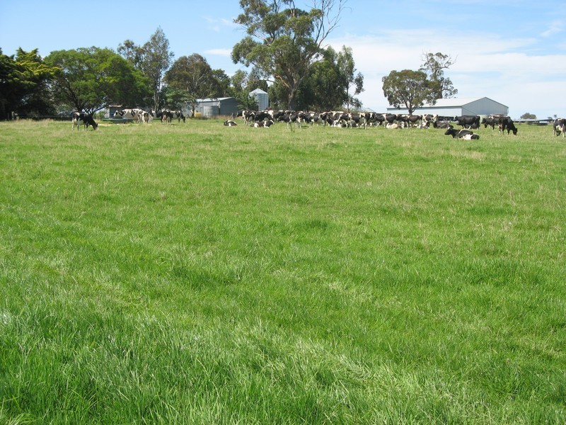 Sec 345 Of Comaun, Naracoorte SA 5271