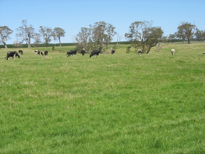 Sec 345 Of Comaun, Naracoorte SA 5271