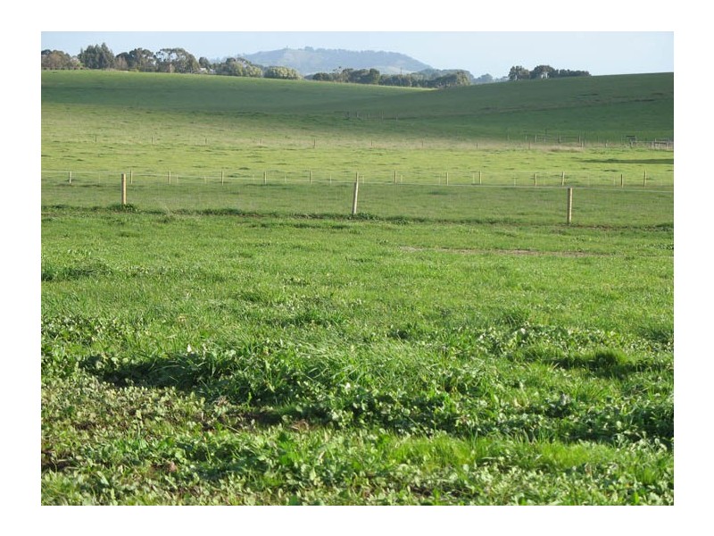 Lot 21 Mil-Lel Drive, Mount Gambier SA 5290