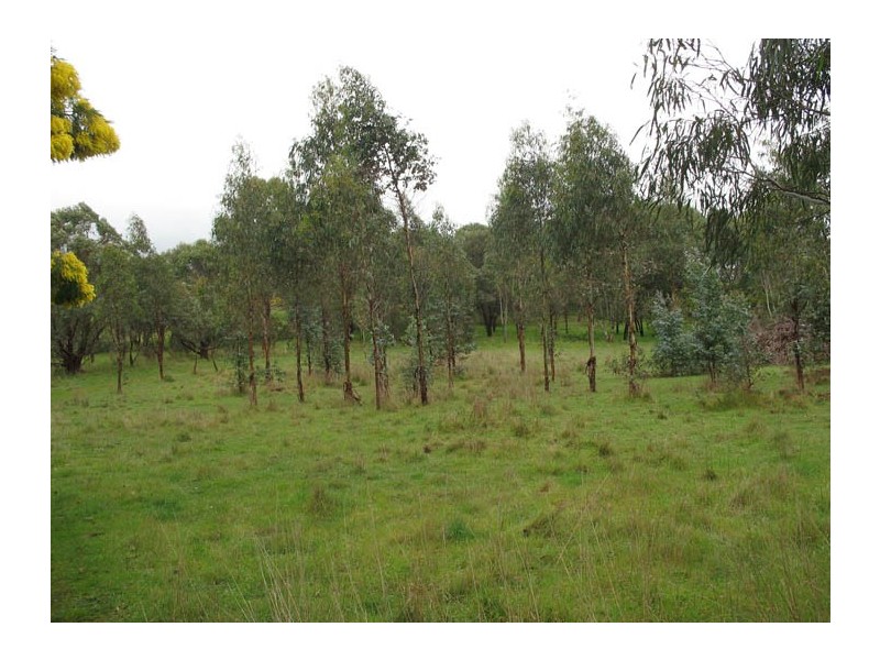 CRN Princes Hwy and Ridge Road, Mumbannar VIC 3304