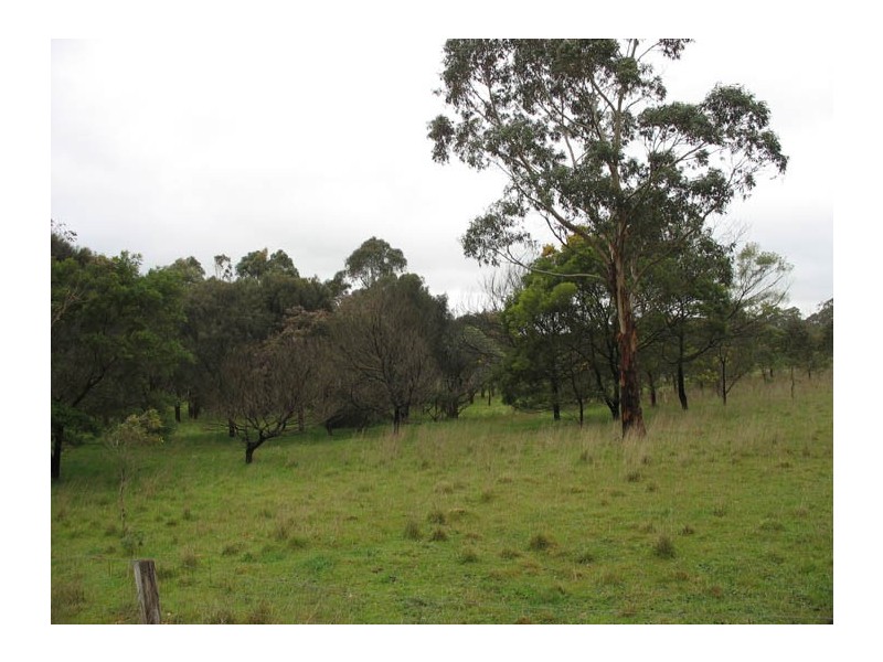 CRN Princes Hwy and Ridge Road, Mumbannar VIC 3304