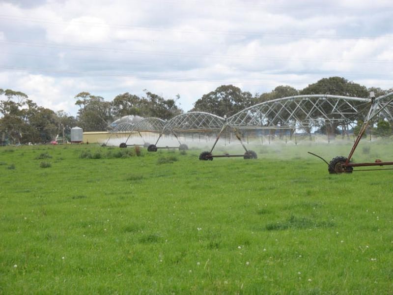 Meldana Dairy, Mingbool SA 5291