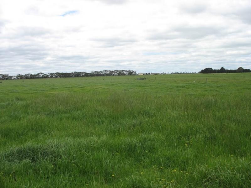 Meldana Dairy, Mingbool SA 5291