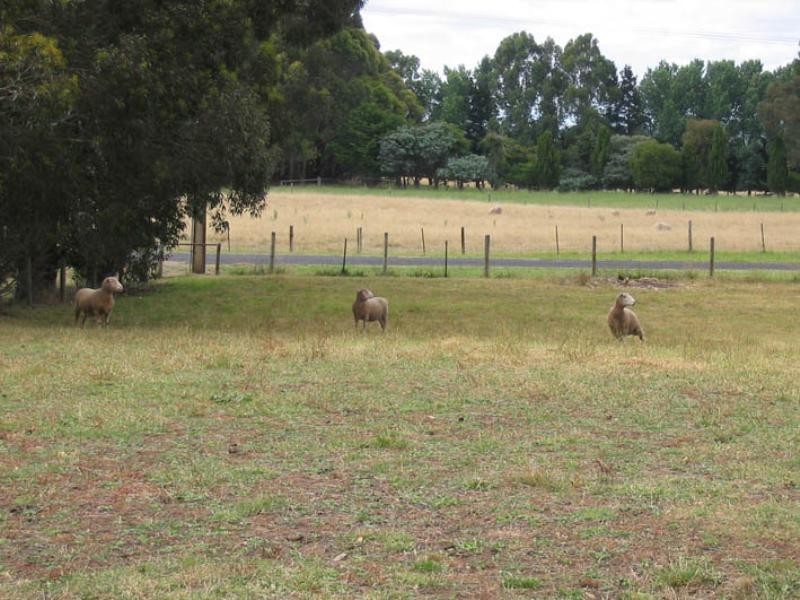 408 and 409 Guerin Lane, Glencoe SA 5291