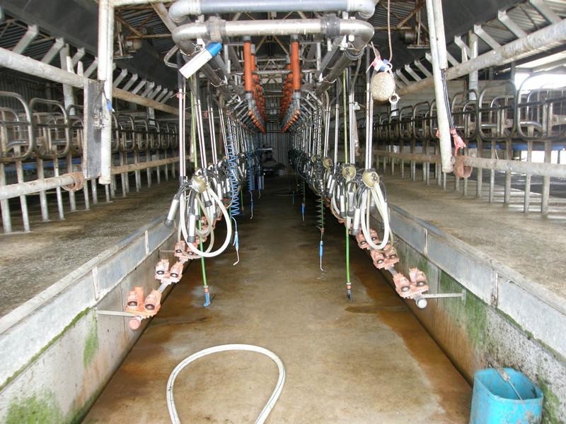 157.5HA “Kiren Park”, Gorae VIC 3305