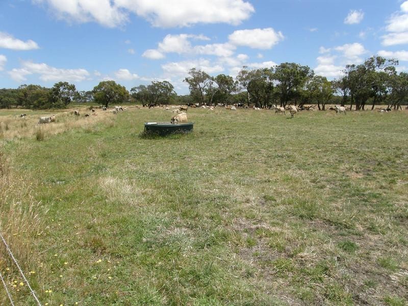 157.5HA “Kiren Park”, Gorae VIC 3305