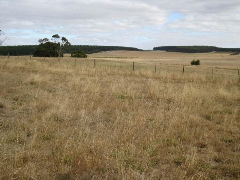 Lot 51 Cafpirco Road, Compton SA 5291