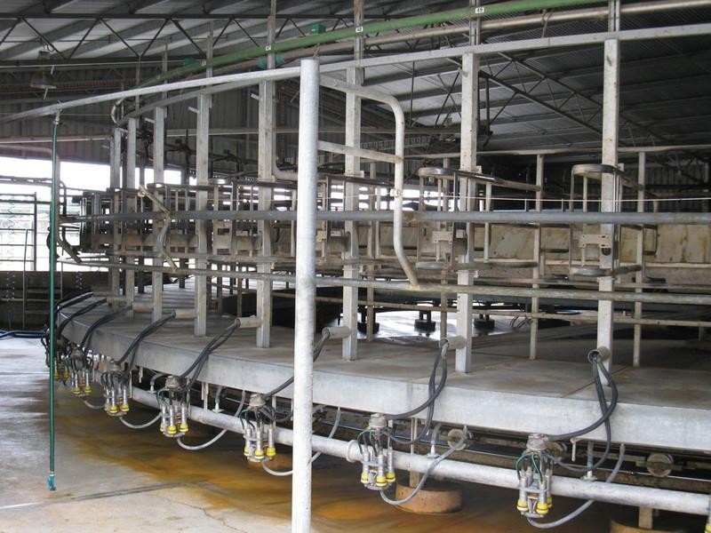 Chadvale Tantanoola, Millicent SA 5280