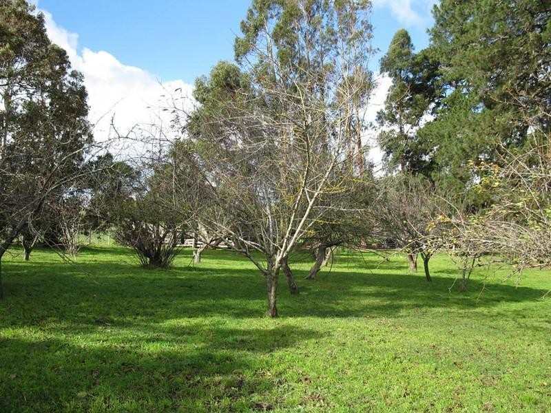 Lot 2 Rocky Camp Road, Millicent SA 5280