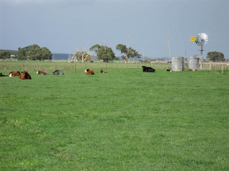 Lot 2 Rocky Camp Road, Millicent SA 5280