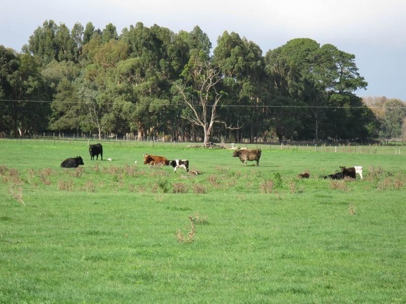 Lot 2 Rocky Camp Road, Millicent SA 5280