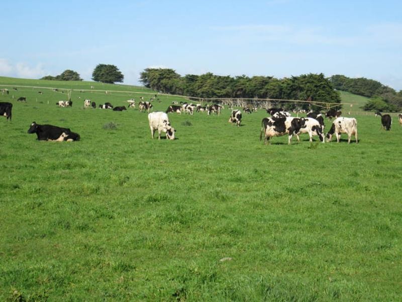 1 Sewarts Road, Allendale East SA 5291