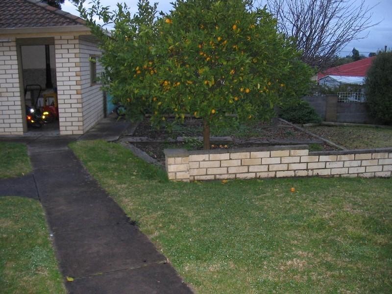 4 Felicia Street, Mount Gambier SA 5291