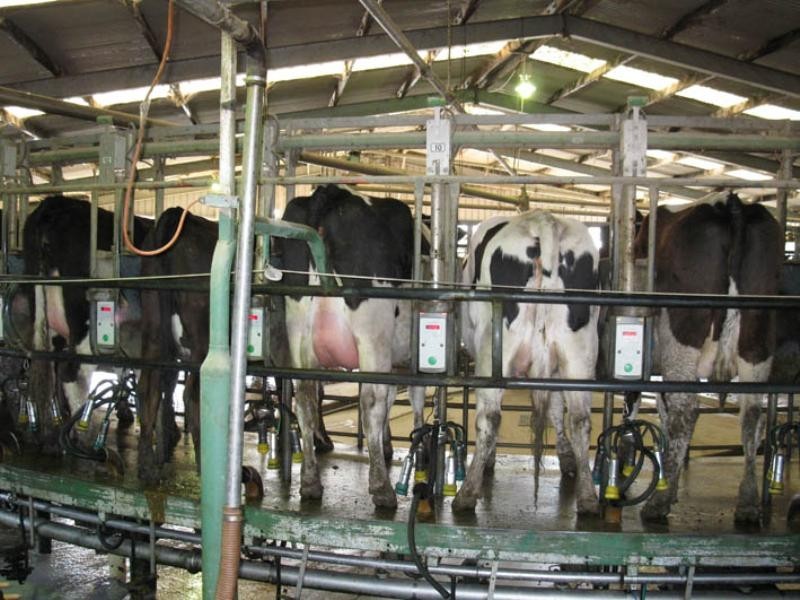 “Stratmans Farm”, Mount Gambier SA 5291