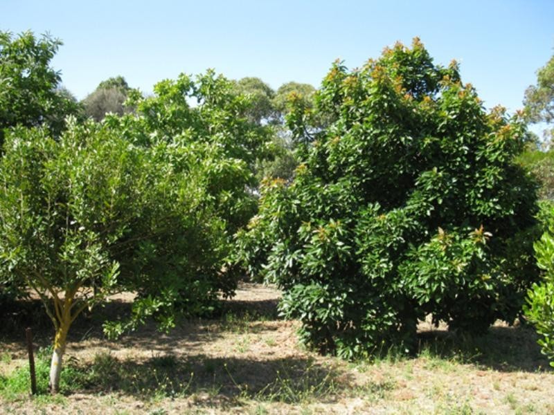 Sec. 345 Blackwood Road, Millicent SA 5280