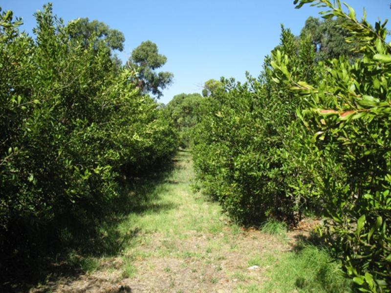 Sec. 345 Blackwood Road, Millicent SA 5280