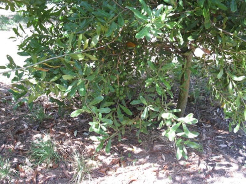 Sec. 345 Blackwood Road, Millicent SA 5280