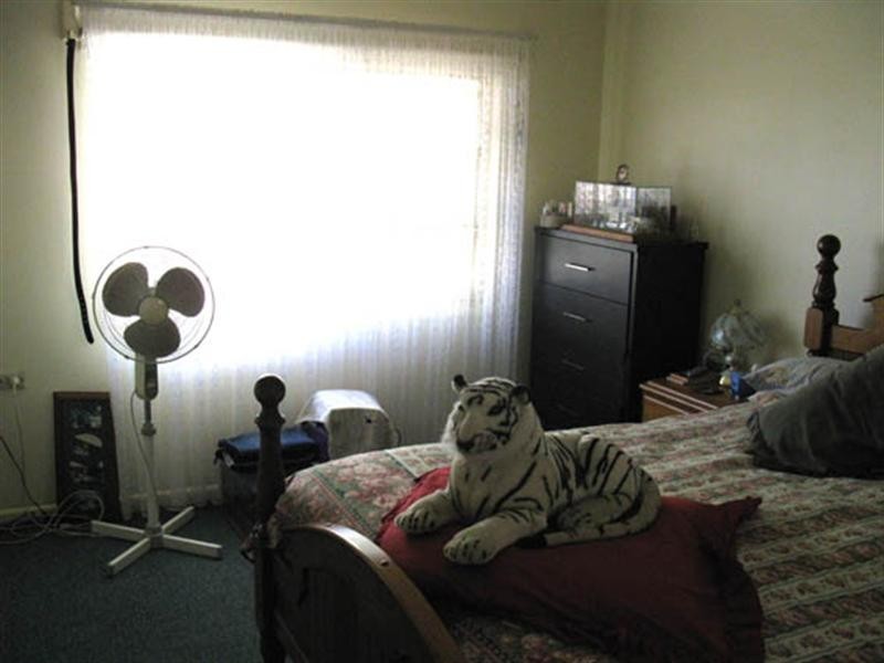 20 Hosking Avenue, Mount Gambier SA 5290