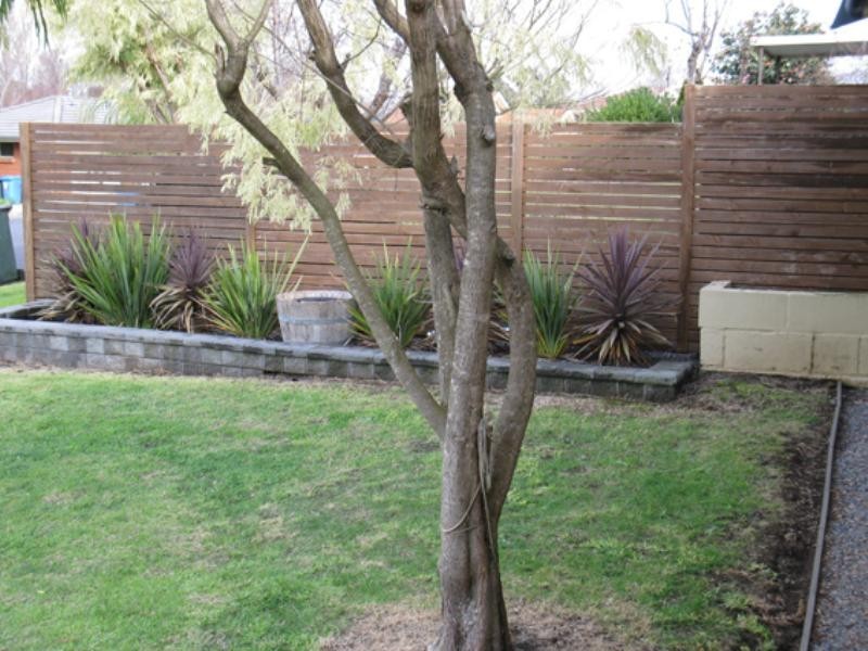 11 Lange Street, Mount Gambier SA 5290