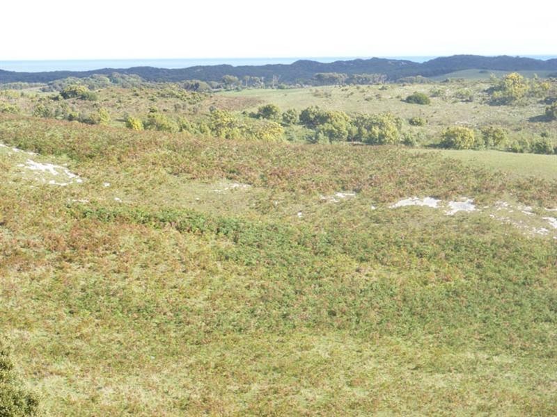 6215 Portland Road, Mount Gambier SA 5290