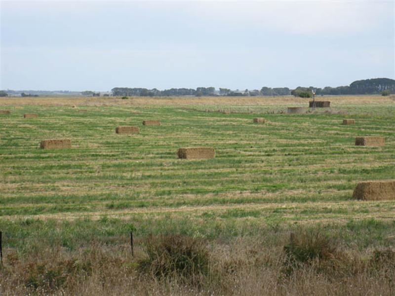 Zadow Farm Whitehead Road, Thornlea SA 5280