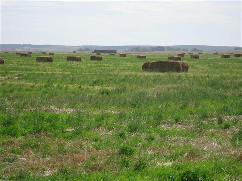 Zadow Farm Whitehead Road, Thornlea SA 5280