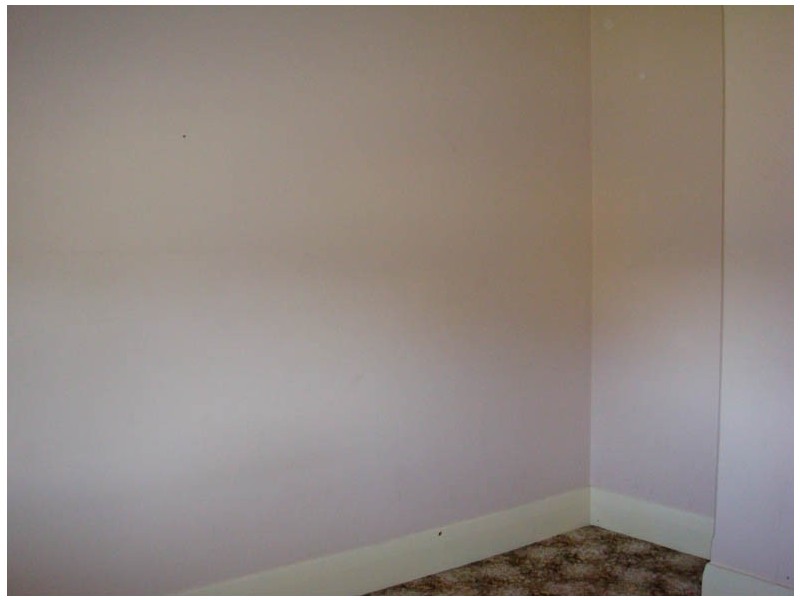 101 Williams Road, Millicent SA 5280