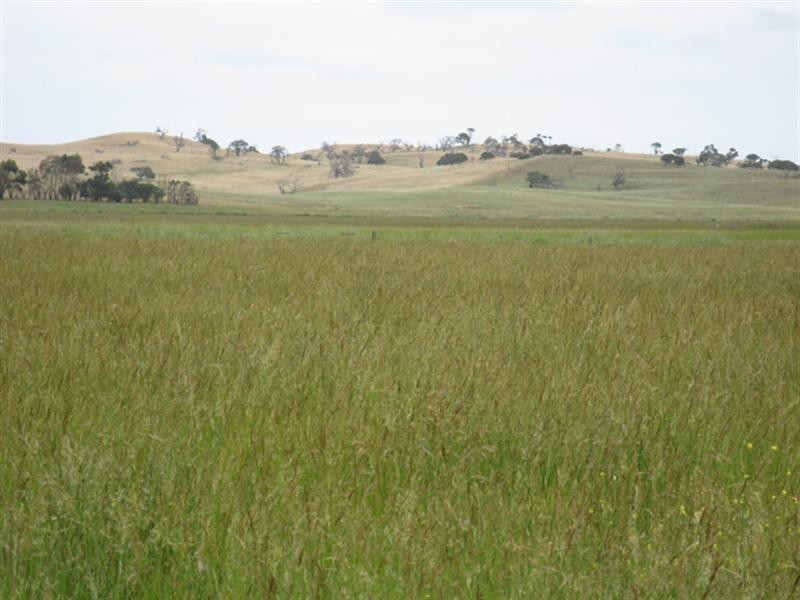 “Erivon” Magerys Lane, Thornlea SA 5280