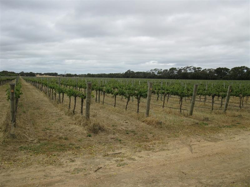 “Erivon” Magerys Lane, Thornlea SA 5280