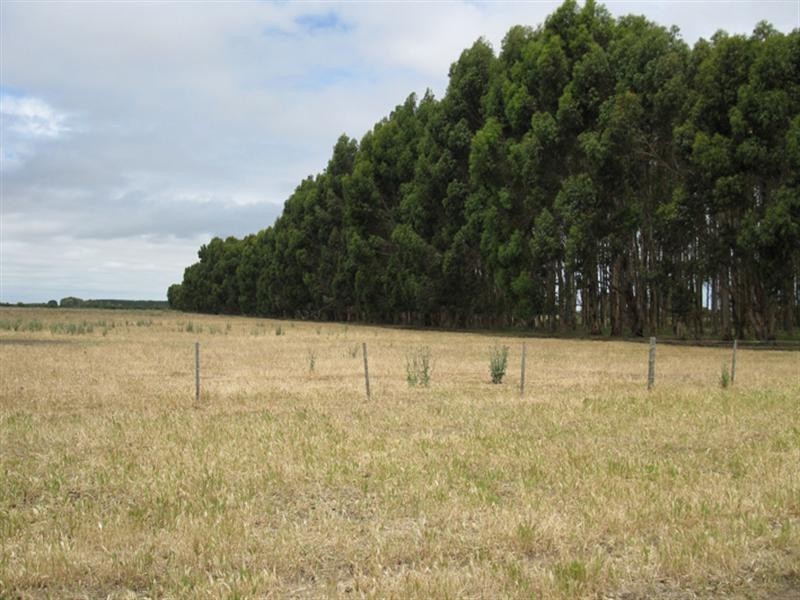 “Erivon” Magerys Lane, Thornlea SA 5280