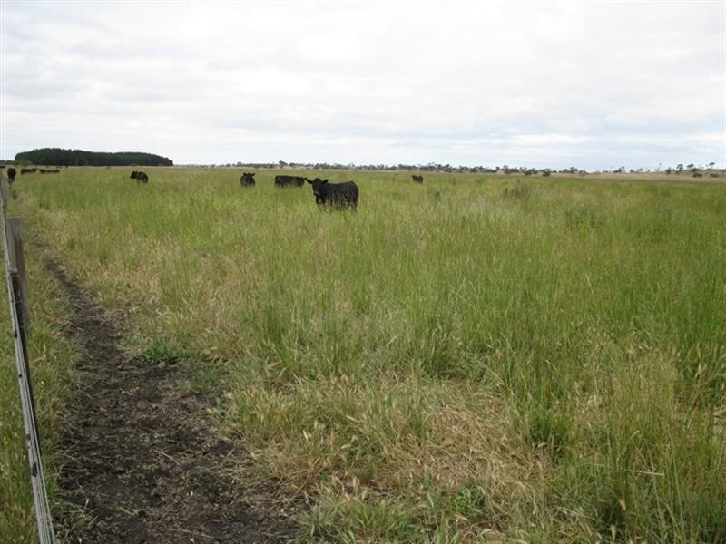 “Erivon” Magerys Lane, Thornlea SA 5280