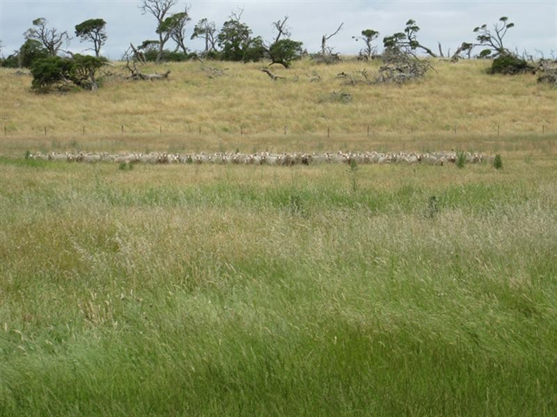 “Erivon” Magerys Lane, Thornlea SA 5280