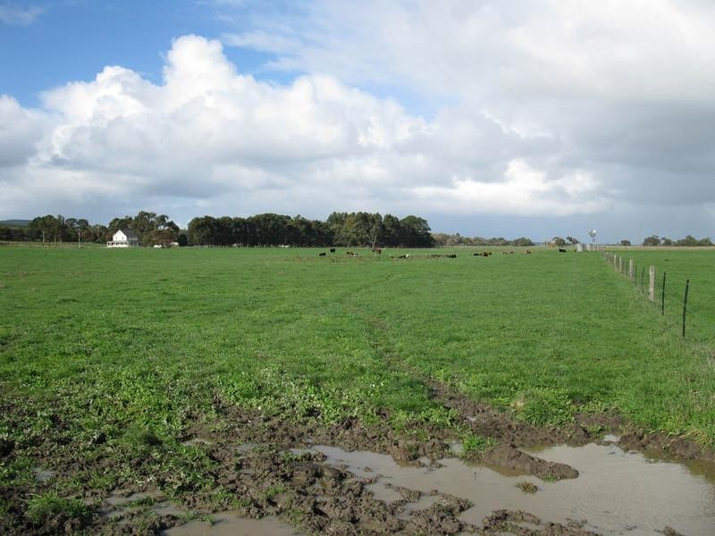 Lot Rocky Camp Road, Millicent SA 5280