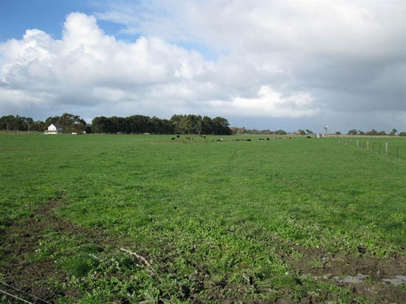 Lot Rocky Camp Road, Millicent SA 5280