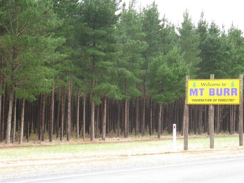 Lot 61 Thomas Drive, Mount Burr SA 5279