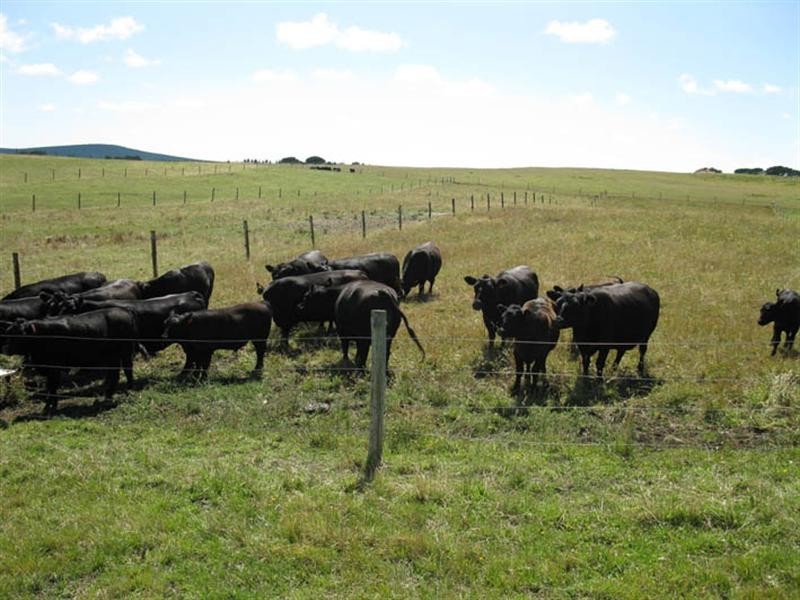 Cnr Dow Road and Copping Road, Glencoe SA 5291