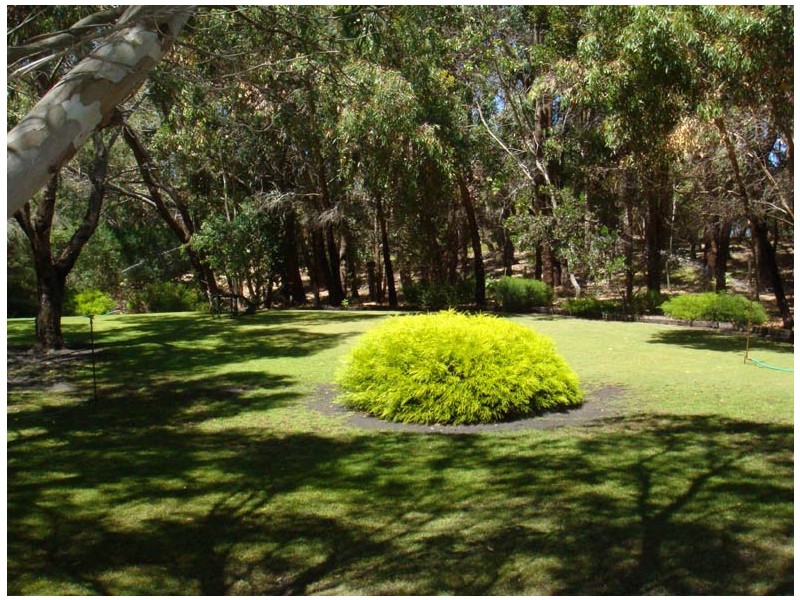 236 Rivoli Drive, Beachport SA 5280