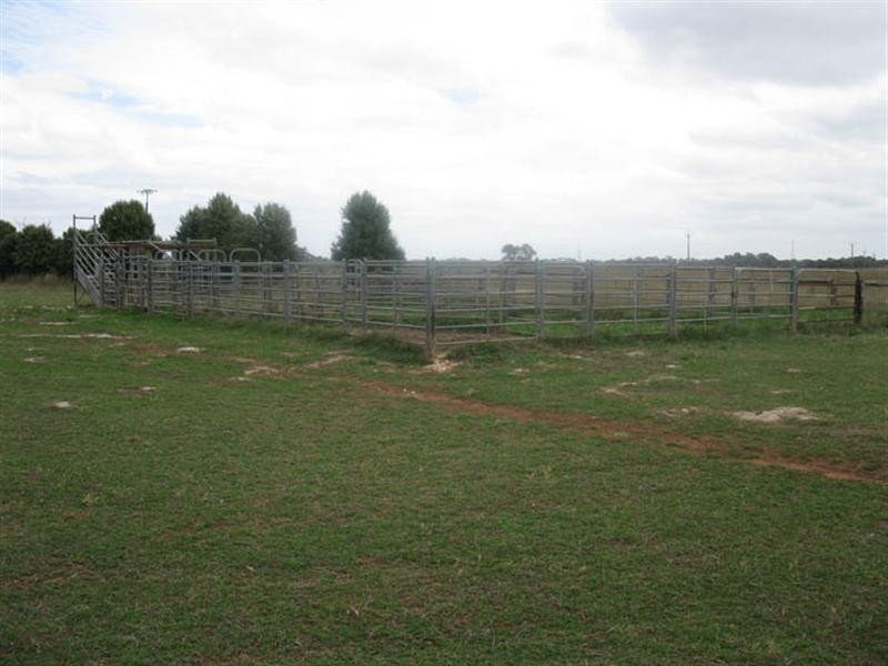 Moyhall Road, Naracoorte SA 5271