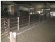 Moyhall Road, Naracoorte SA 5271