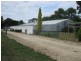 Moyhall Road, Naracoorte SA 5271